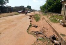 Nasarawa traders seek govt attention on Kasuwa Tomatoes road