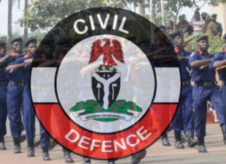 NSCDC arrest 5 suspected Homosexuals in Nasarawa