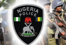 Gunmen abduct Warri-based human rights lawyer