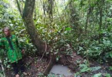 Wonders of Usaka, Akwa Ibom community where gods forbid afternoon sex