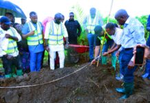 Emerging Leaders flag-off 20 hectares cassava/corn farm in Akwa Ibom