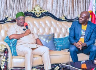 IDPs going through mental torture, we’re determined to return them home- Mutfwang