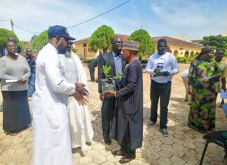 Christian group distributes 300+ resilience trees to tackle climate change in Plateau