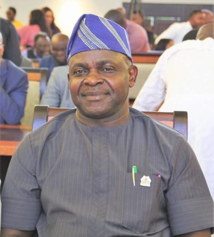 FB_IMG_1740620695034