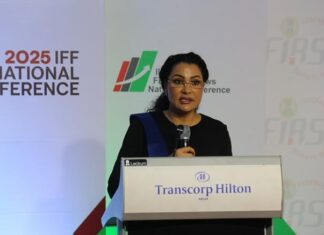 Illicit Financial Flows: Minister seeks collaboration to end profit-shifting, tax evasion
