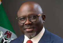 Delta govt unveils mini-grid power plan