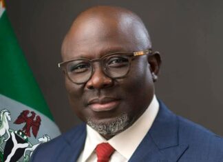 Delta govt unveils mini-grid power plan