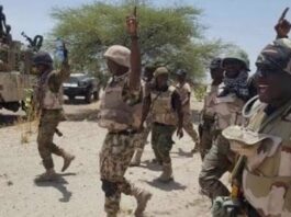 Operation Iron Resolve: How American–Nigerian Joint Forces Crushed Terrorist Strongholds in Northern Nigeria